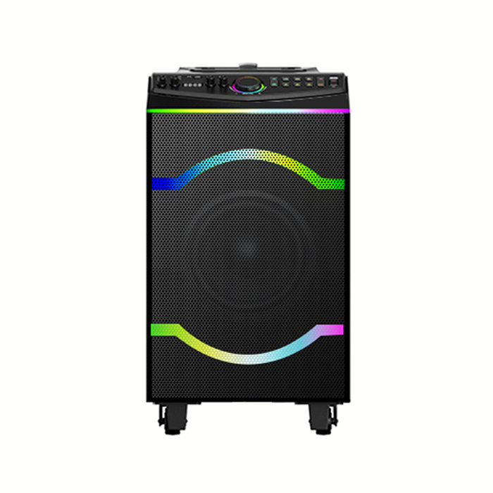 PT1208 best outdoor party speaker PA speaker