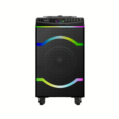 PT1208 best outdoor party speaker PA speaker