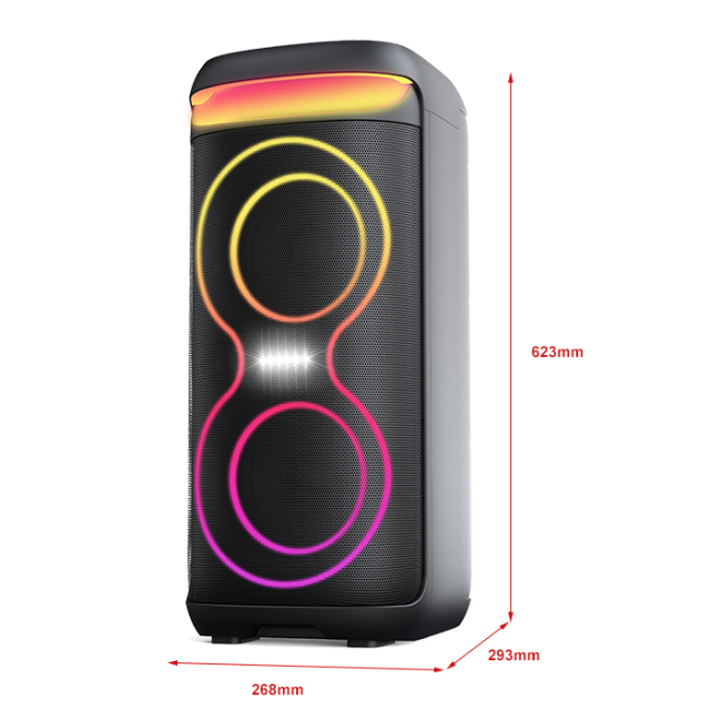 PT9612B best portable party speaker