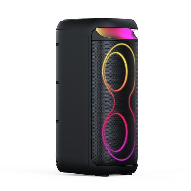 PT9612B PT9612B best outdoor party speaker​