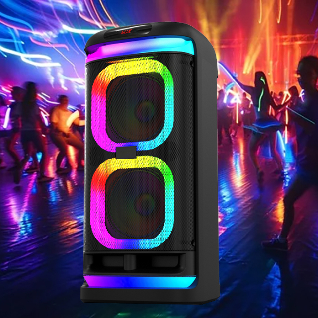 PT9613B Party Speaker With Bluetooth And Karaoke