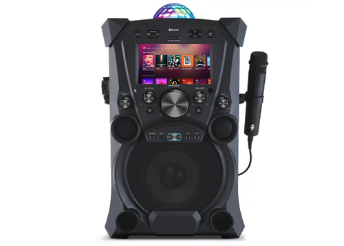 adult karaoke machine​