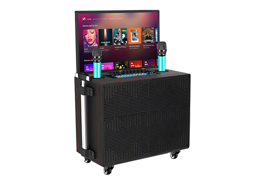 adult karaoke machine with screen