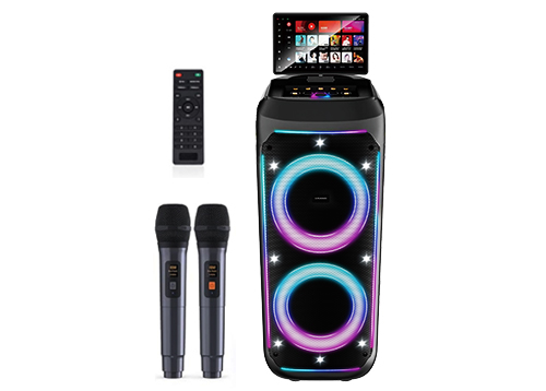 professional karaoke machine for adults​