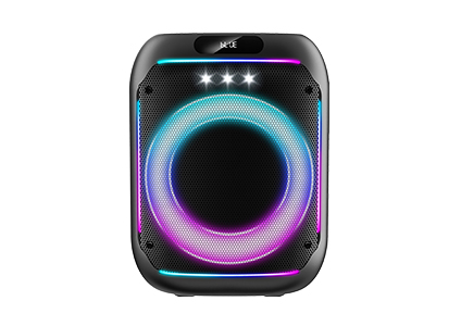 PT803 bluetooth party speaker portable