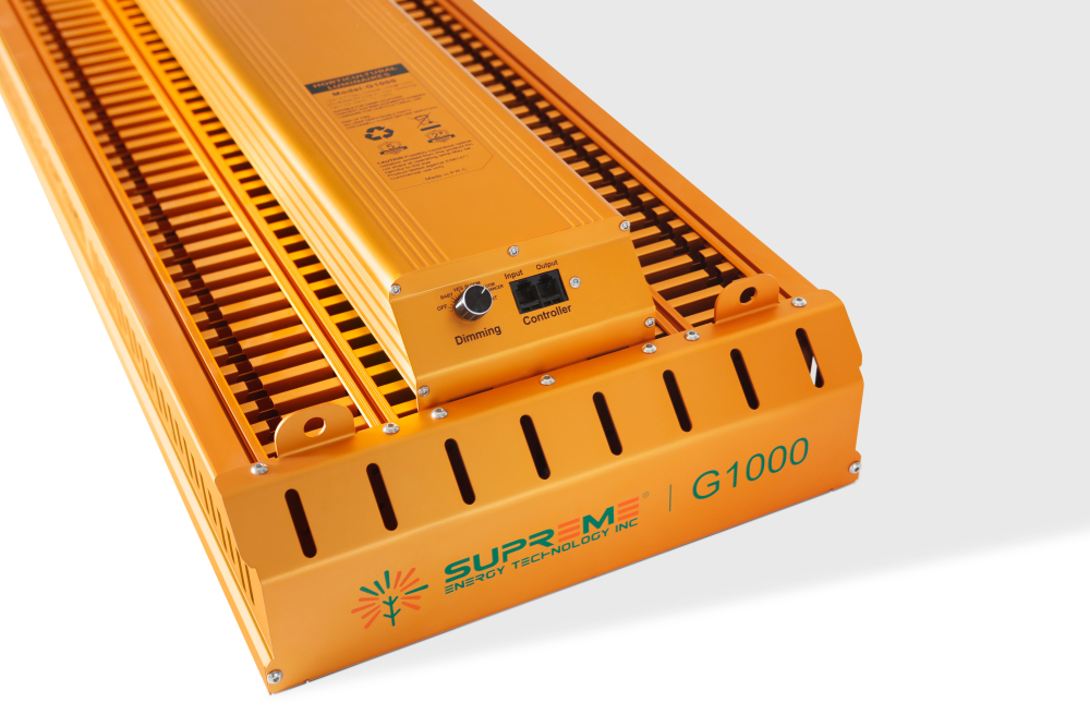 G1000