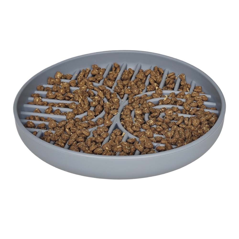 anti gulping dog bowl