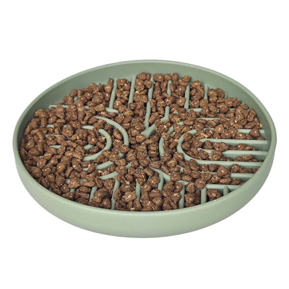 dog maze bowl