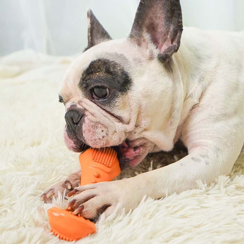 Wholesale Interactive Rubber Pet teeth cleaning toys Custom logo outdoor dog fun treat chewing toy
