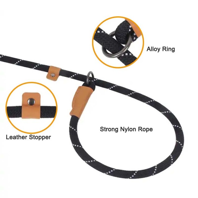 Custom Nylon P Chain Dog Leash with Reflective Glowing Strips – Training & Walking Leash