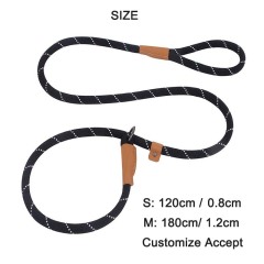 Custom Nylon P Chain Dog Leash with Reflective Glowing Strips – Training & Walking Leash