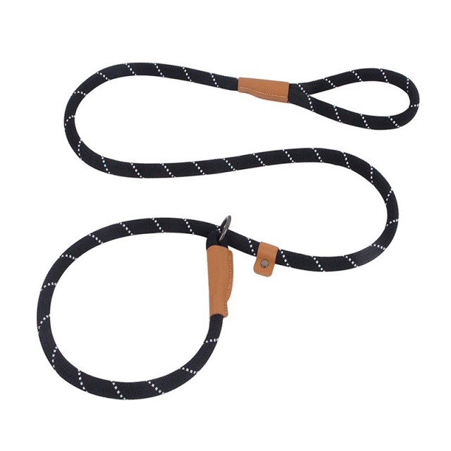 Custom Nylon P Chain Dog Leash with Reflective Glowing Strips – Training & Walking Leash