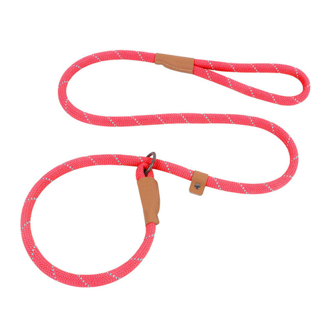 Custom Nylon P Chain Dog Leash with Reflective Glowing Strips – Training & Walking Leash