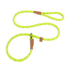 Custom Nylon P Chain Dog Leash with Reflective Glowing Strips – Training & Walking Leash
