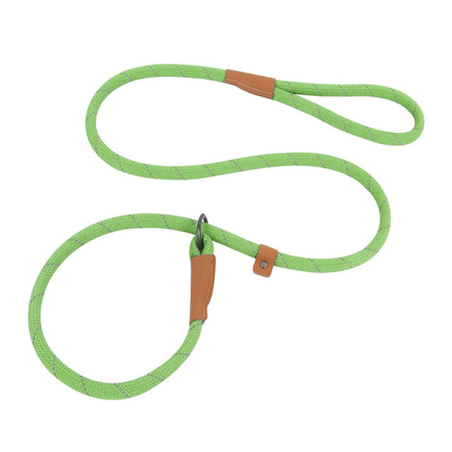 Custom Nylon P Chain Dog Leash with Reflective Glowing Strips – Training & Walking Leash