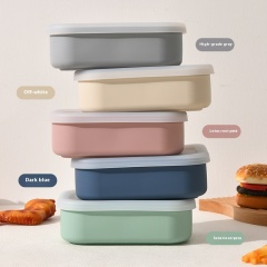 Wholesale silicone 3-Compartment Lunch Box