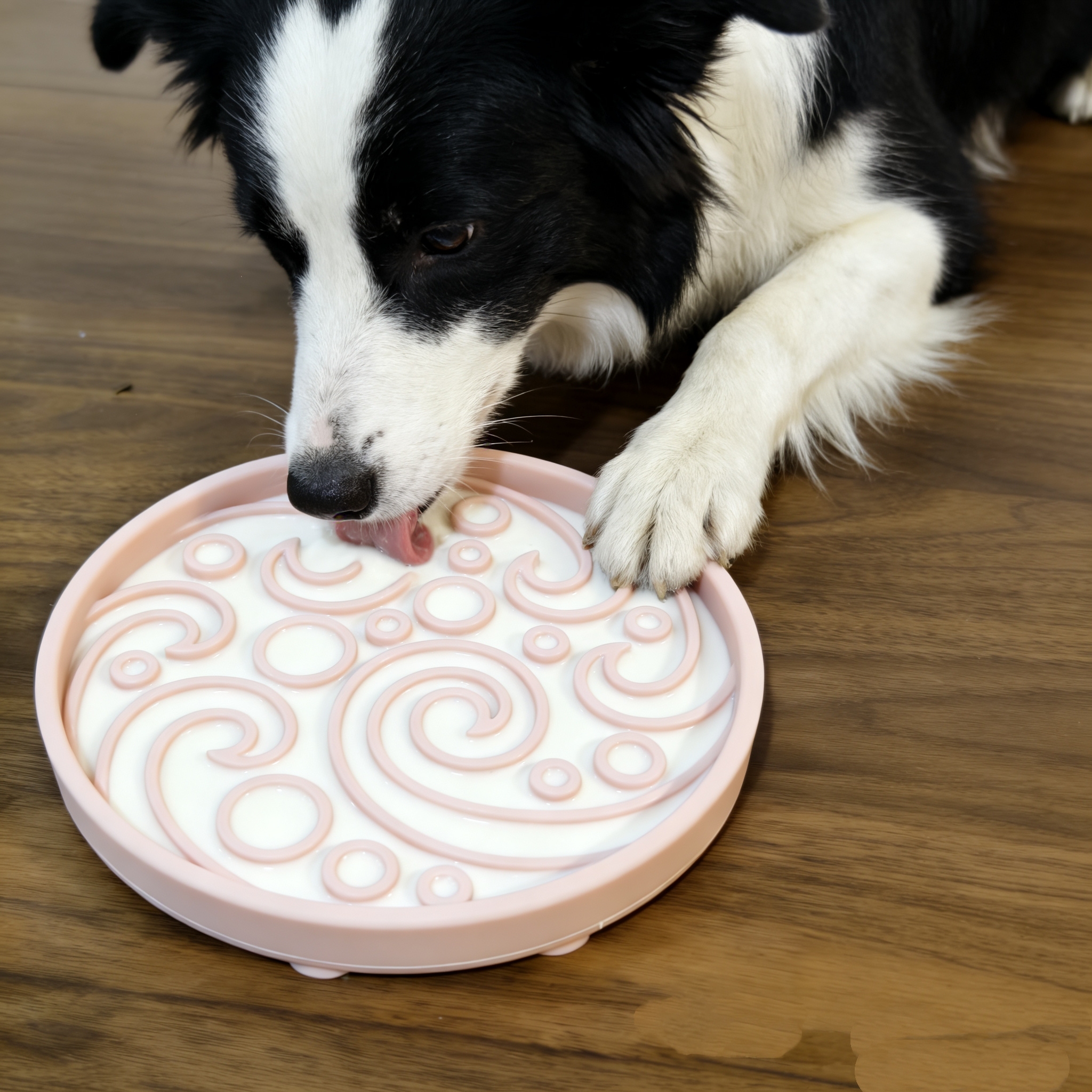 Custom Slow Feeder Dog Bowl