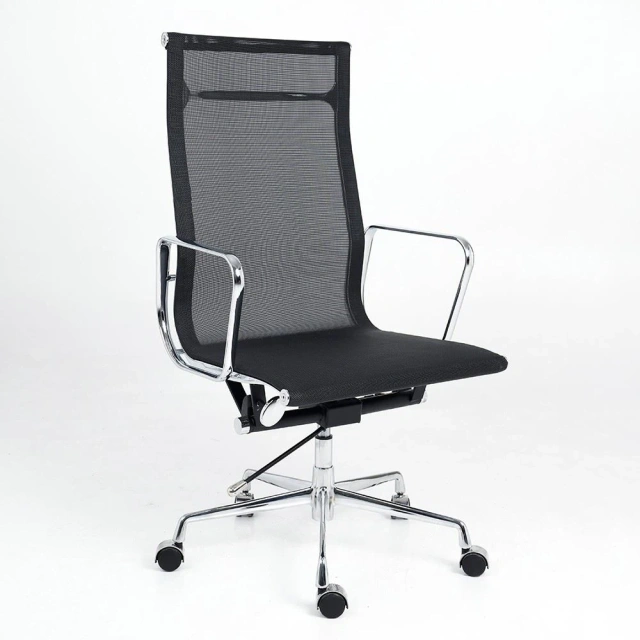 Plastic Ergonomic Chair