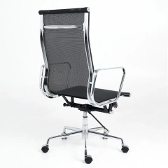 Plastic Ergonomic Chair