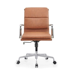 Ergonomic Desk Chair for Extra Back and Lumbar Support