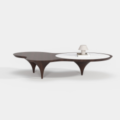 Dual-top Curved Wood Coffee Table, Italian Designer Center Table for Custom Living Space A005