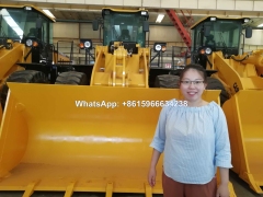 China Factory Mini 1.6ton 4wd Backhoe Loader TLBS