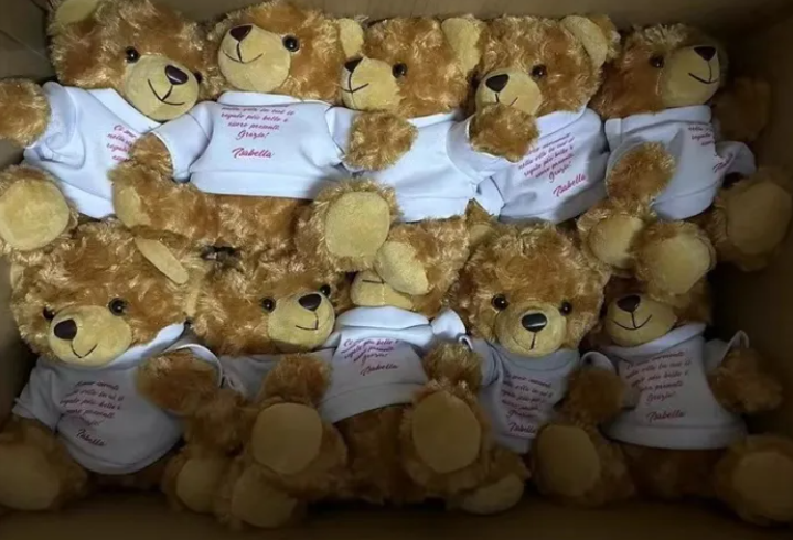 Zella Mix 29cm Color Cute Teddy Bear Toys With Sublimation T-shirt
