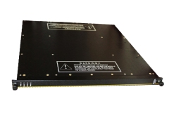 Triconex 3006