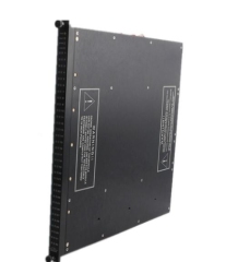 Triconex 2750 7400061-210