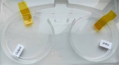 Chirped Fiber Grating