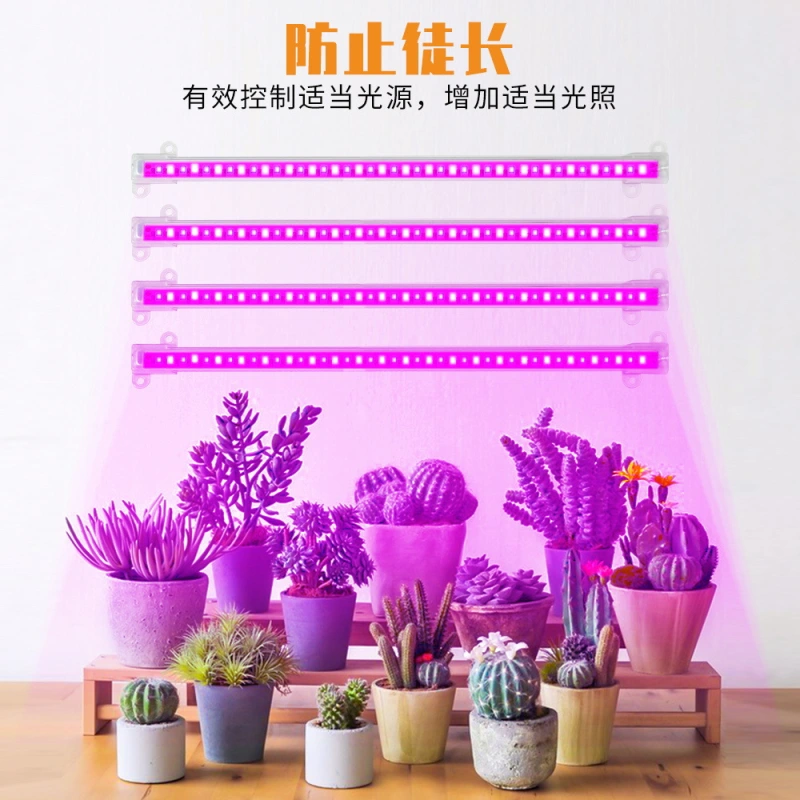 High Quality Led Strip Plant Grow Light Transformer type shipping directly from factory