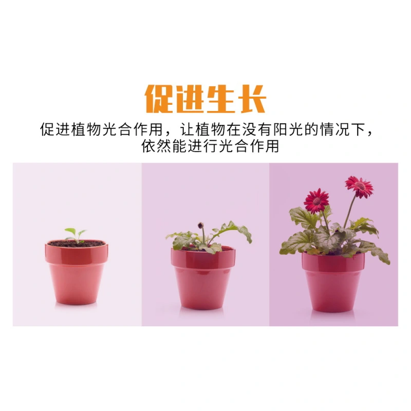 High Quality Led Strip Plant Grow Light Transformer type shipping directly from factory