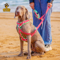 Dog harness for large dogs / Pet Supplies For Dog