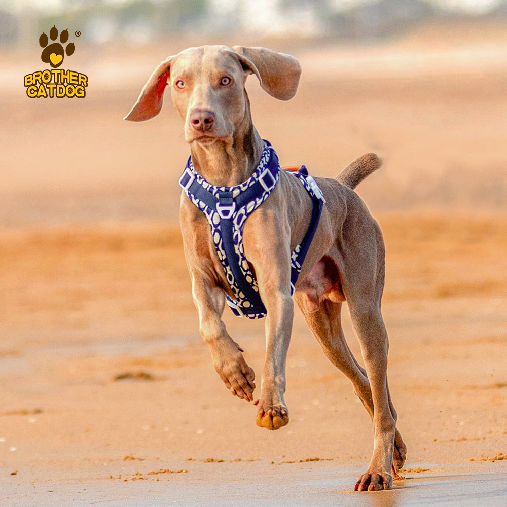 Adjustable Dog Harness / Strong Dog Harness / Dog Supplies Customize