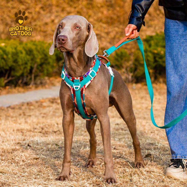 Dog Apparel Supplier / Dog Harness & accessories