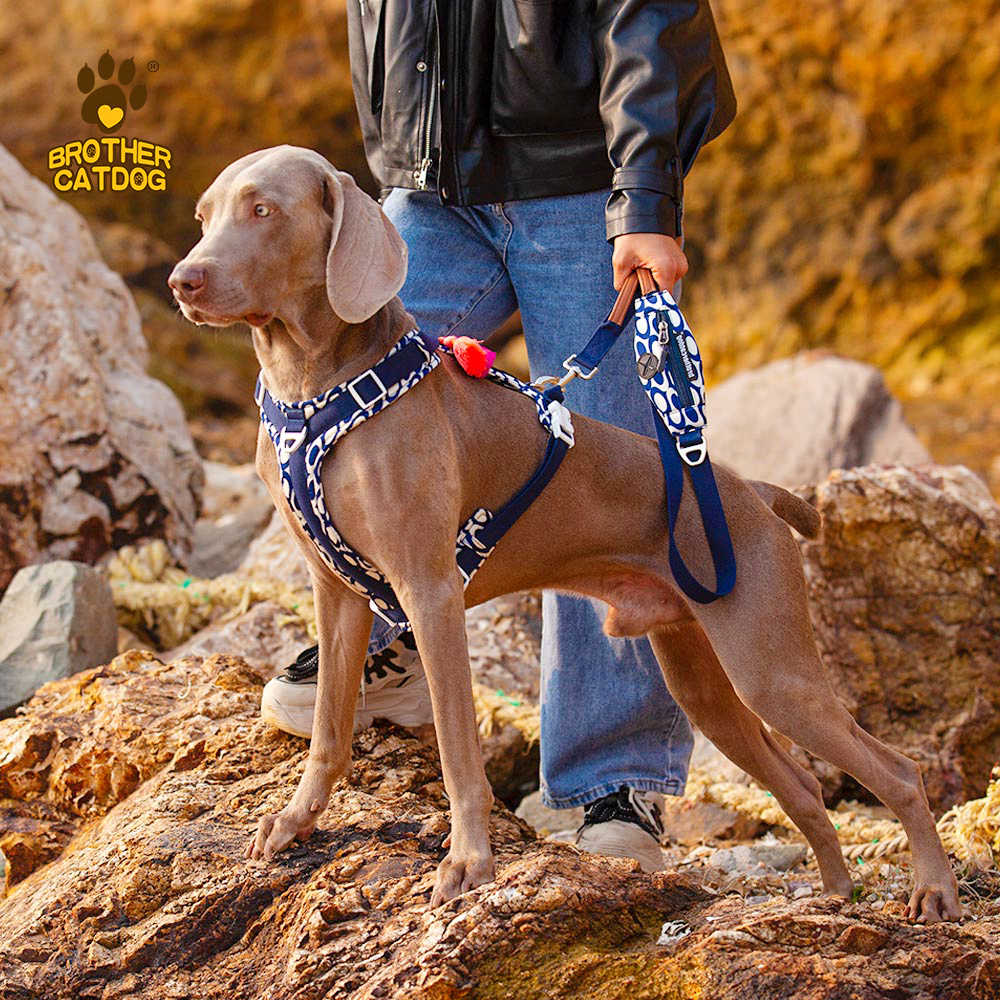 Adjustable Dog Harness / Strong Dog Harness / Dog Supplies Customize