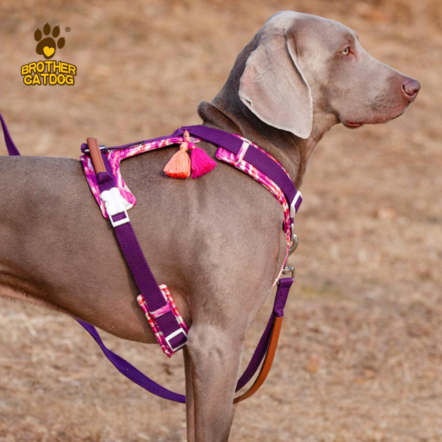Dog Harness With Handle / No Pull Dog Harness