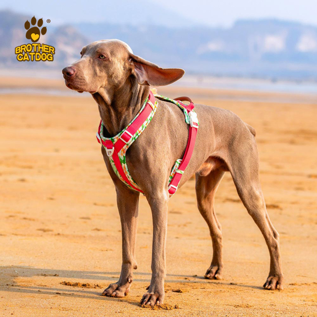 Dog harness for large dogs / Pet Supplies For Dog