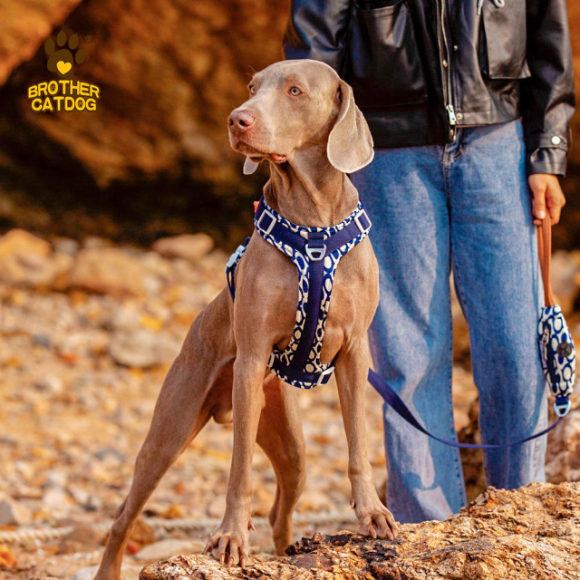 Adjustable Dog Harness / Strong Dog Harness / Dog Supplies Customize