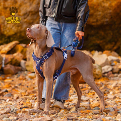 Quality Puppy and Dog Harnesses / Custom dog harness