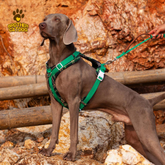 Wholesale Pet Supplies / Dog Harness For Large Dogs