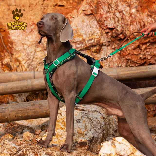 Wholesale Pet Supplies / Dog Harness For Large Dogs