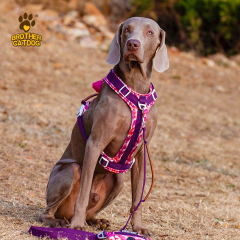 Dog Harness With Handle / No Pull Dog Harness