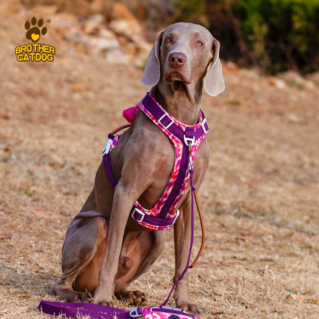 Dog Harness With Handle / No Pull Dog Harness