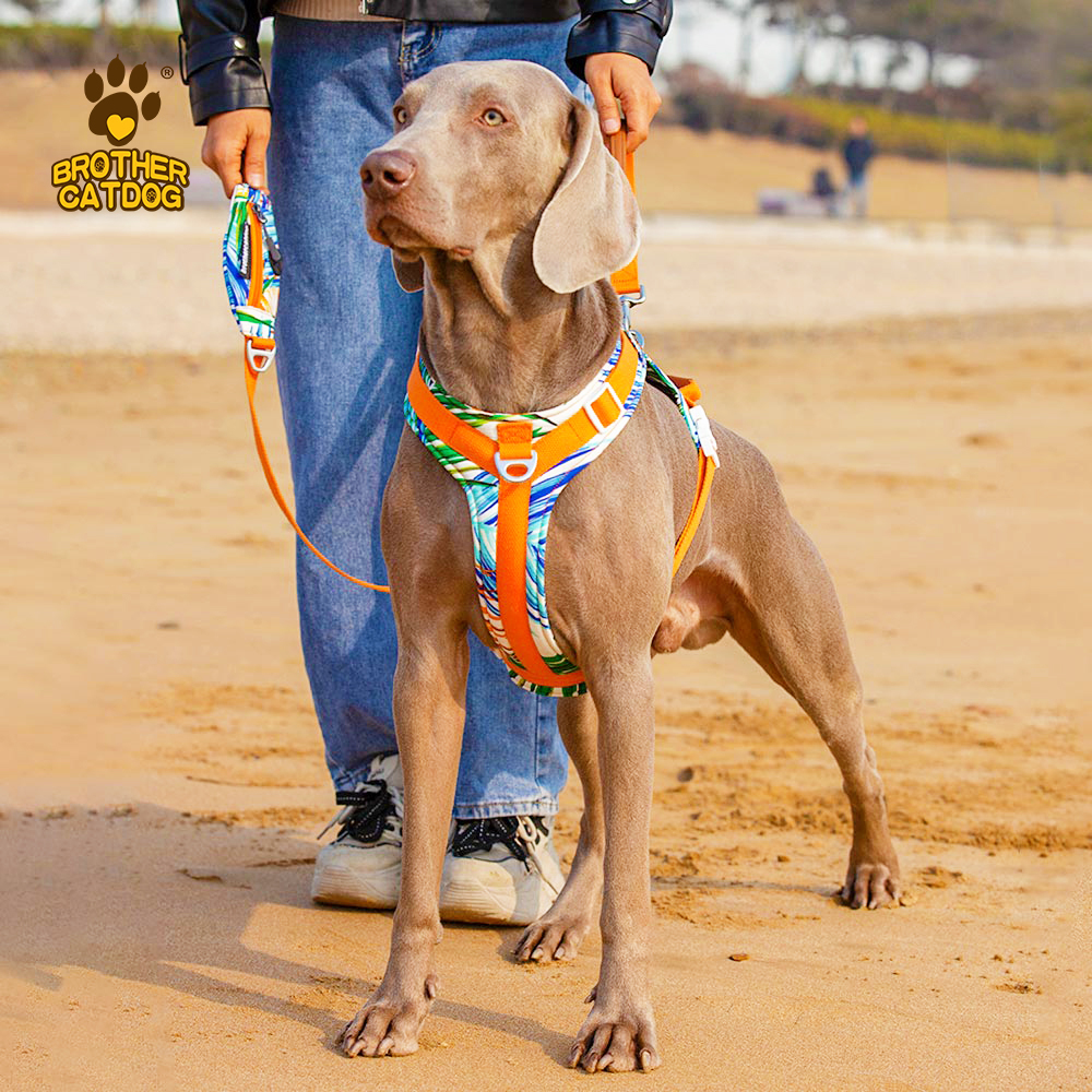 Dog harness no pull / dog leash and harness / dog vest
