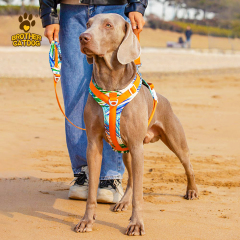 Dog harness no pull / dog leash and harness / dog vest