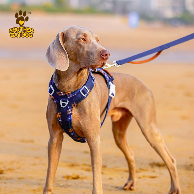 Quality Puppy and Dog Harnesses / Custom dog harness