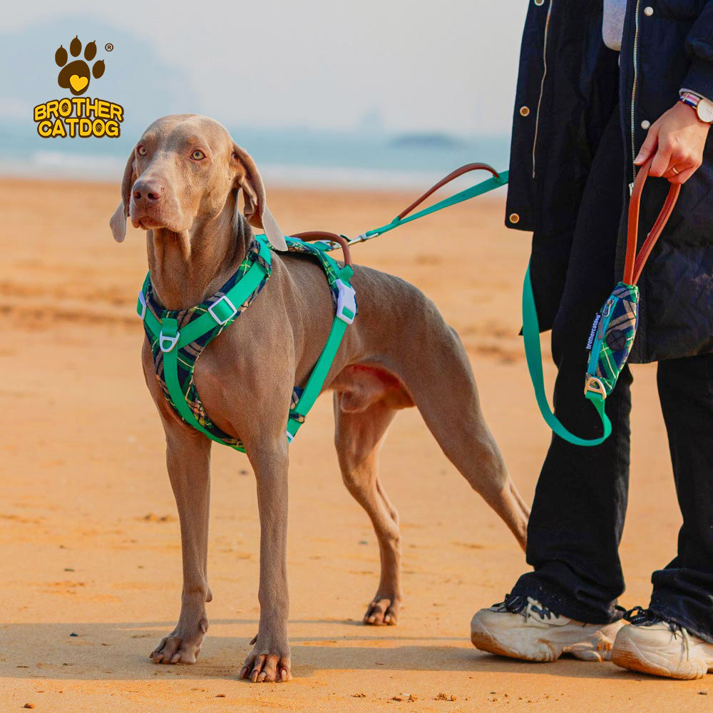 Wholesale Pet Supplies / Dog Harness For Large Dogs