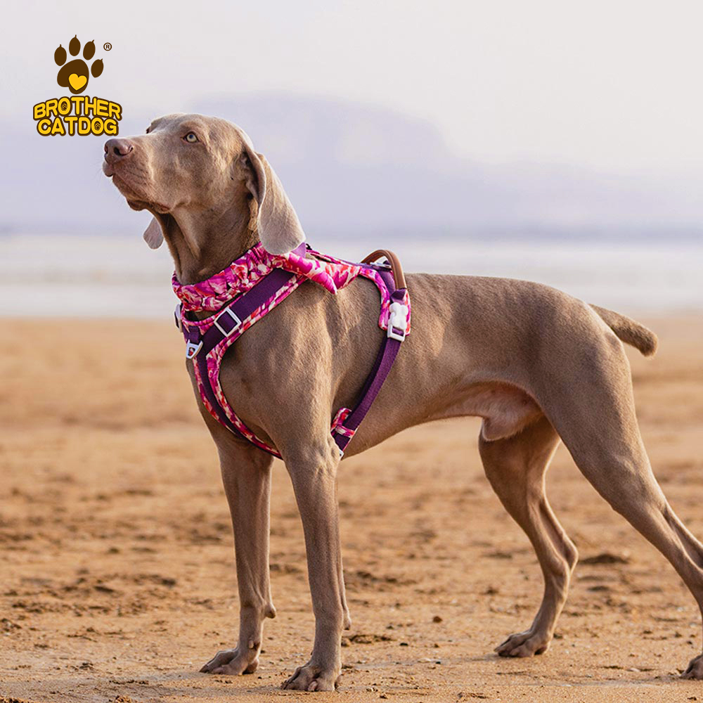 Dog Harness With Handle / No Pull Dog Harness