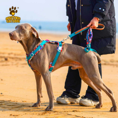 Dog Apparel Supplier / Dog Harness & accessories